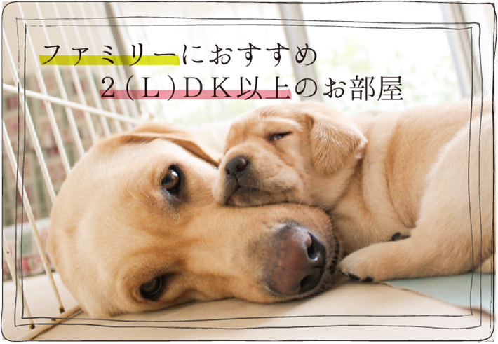 ファミリーにおすすめ!2部屋以上あるお部屋特集