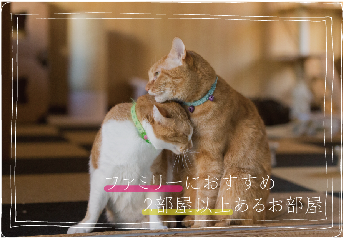ファミリーにおすすめ!2部屋以上あるお部屋特集