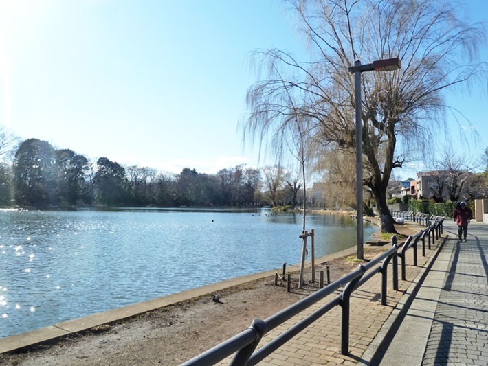 石神井公園