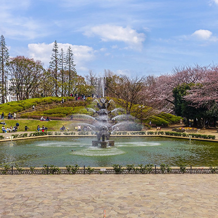 世田谷公園