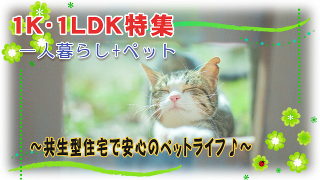 【1K・1DK・1LDK特集】一人暮らし+ペットにぴったりなお部屋