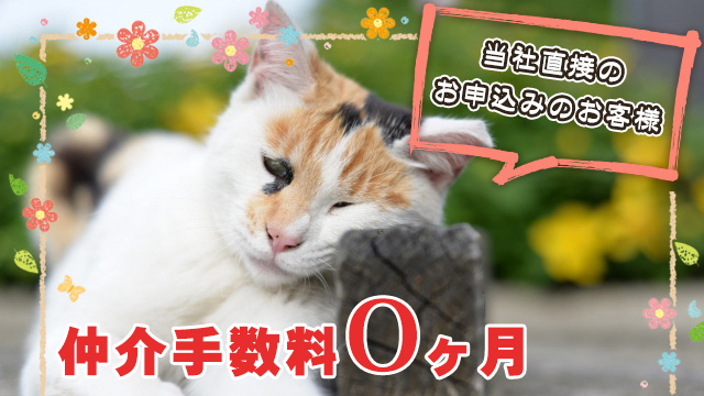 弊社直接のお問合せ・お申込みで仲介手数料が0ヶ月になるお部屋!