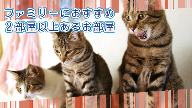 ファミリーにおすすめ!2部屋以上あるお部屋特集