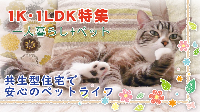 【1K・1DK・1LDK特集】一人暮らし+ペットにぴったりなお部屋