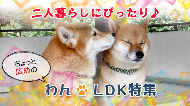ふたり暮らしにぴったり♪ちょっと広めの1LDK特集