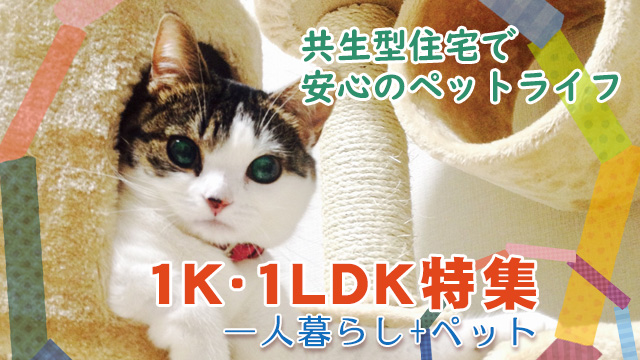 【1K・1DK・1LDK特集】ひとり暮らし＋ペットにぴったりなお部屋