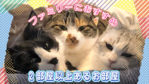 ファミリーや多頭飼育の方におすすめ！２部屋以上あるお部屋特集