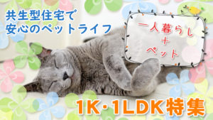 【1K・1DK・1LDK特集】ひとり暮らし＋ペットにぴったりなお部屋