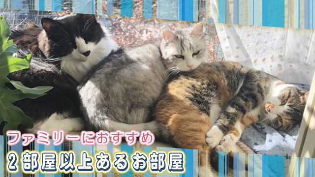 ファミリーにおすすめ!2部屋以上あるお部屋特集