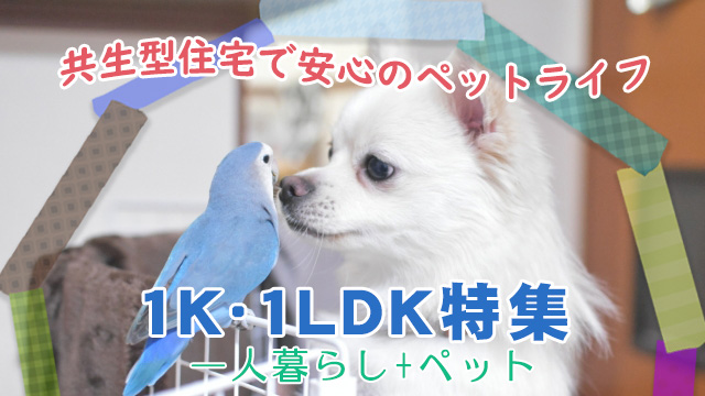 【1K・1DK・1LDK特集】一人暮らし+ペットにぴったりなお部屋