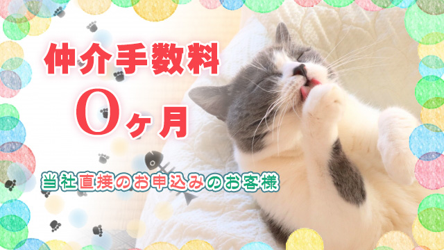 弊社直接のお問合せ・お申込みで仲介手数料が0ヶ月になるお部屋!