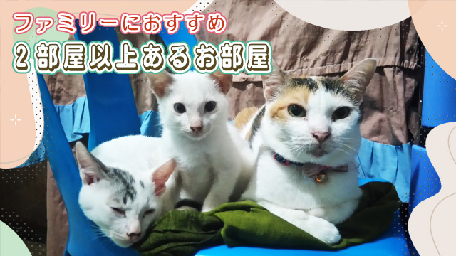 ファミリーや多頭飼育の方におすすめ!2部屋以上あるお部屋特集