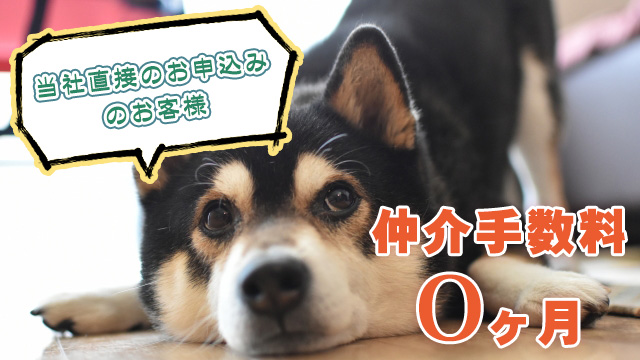 弊社直接のお問合せ・お申込みで仲介手数料が0ヶ月になるお部屋!