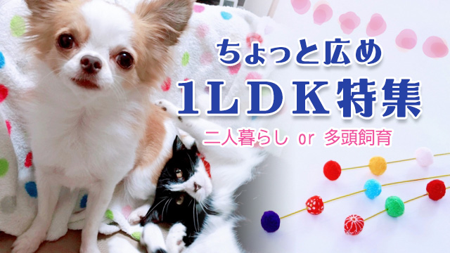 ふたり暮らしにぴったり♪1LDK特集