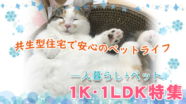 【1K・1DK・1LDK特集】一人暮らし+ペットにぴったりなお部屋