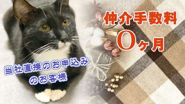 弊社直接のお問合せ・お申込みで仲介手数料が0ヶ月になるお部屋!