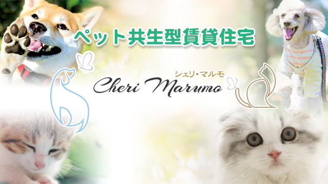★新築★cheri marumo －シェリ・マルモ－