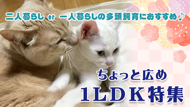 二人暮らしor単身の多頭飼育におすすめ♪45㎡以上の1LDK特集