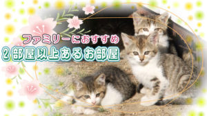 ファミリーや多頭飼育の方におすすめ！２部屋以上あるお部屋特集