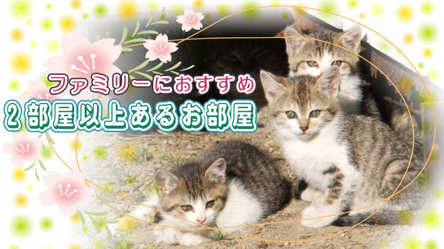 ファミリーや多頭飼育の方におすすめ!2部屋以上あるお部屋特集