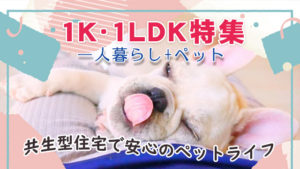 【1K・1DK・1LDK特集】ひとり暮らし＋ペットにぴったりなお部屋