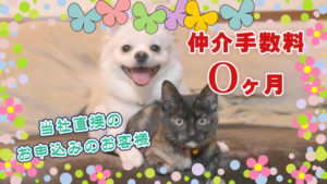 弊社直接のご案内・お申込みで仲介手数料が０ヶ月になるお部屋！