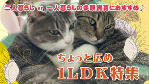 二人暮らしor単身の多頭飼育におすすめ♪40㎡以上の1LDK特集