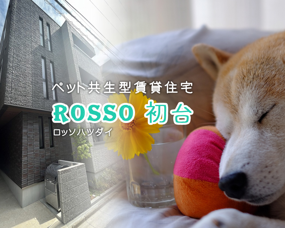 シャーメゾン賃貸「Rosso初台」