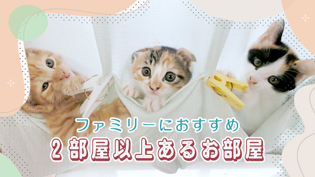 ファミリーや多頭飼育の方におすすめ!2部屋以上あるお部屋特集