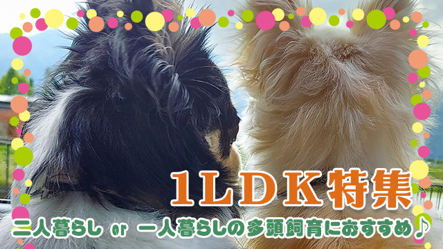 二人暮らしor単身の多頭飼育におすすめ♪44㎡以上の1LDK特集