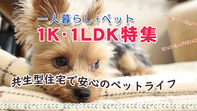 【1K・1DK・1LDK特集】ひとり暮らし+ペットにぴったりなお部屋