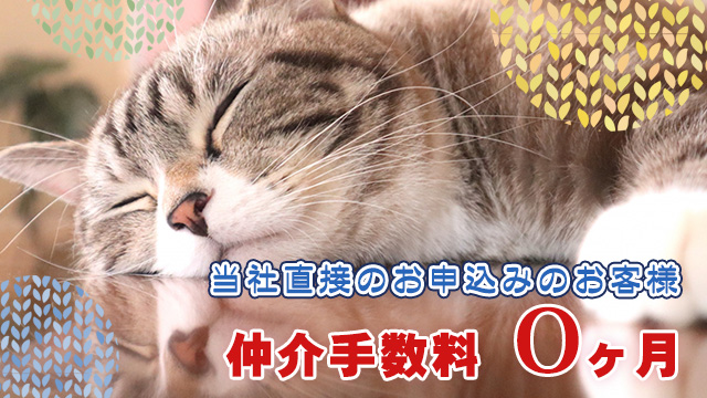 弊社直接のお問合せ・お申込みで仲介手数料が0ヶ月になるお部屋!