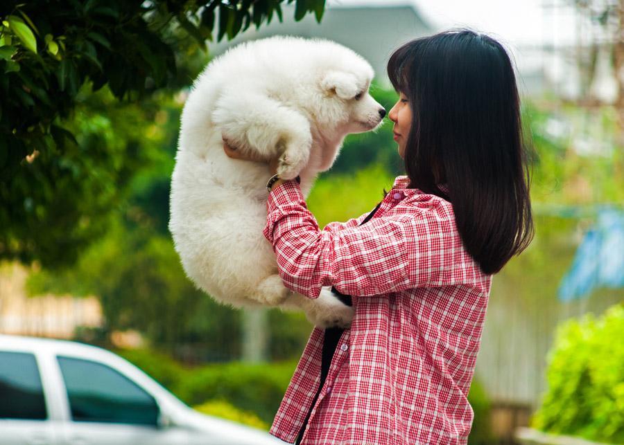 動物に癒やしてもらえる？アニマルセラピーについてご紹介！