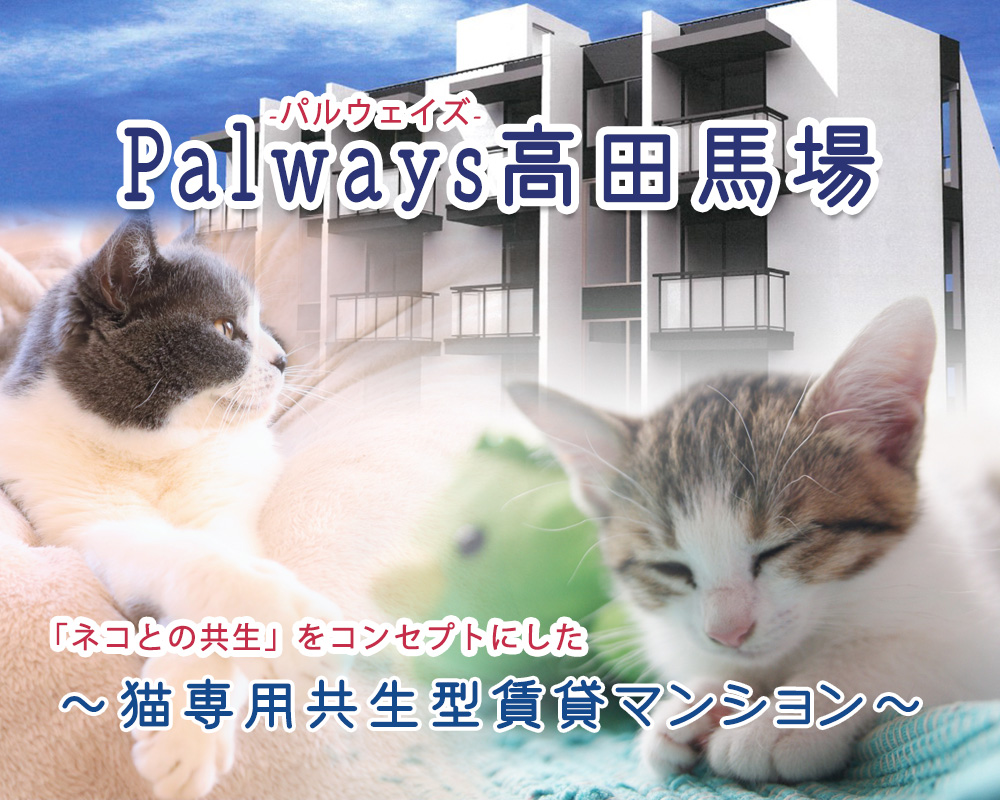 Palways高田馬場猫専用の賃貸マンション!多頭飼育可♪ | アドバンスネット