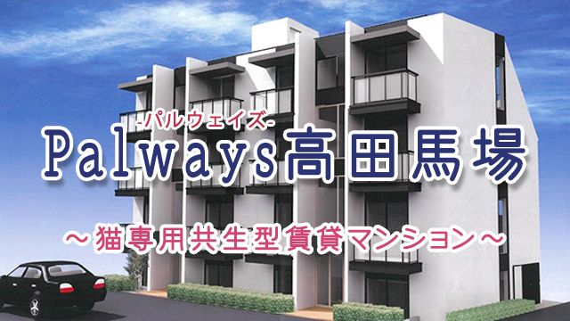 ★新築★猫専用コンセプトマンション「Palways高田馬場」入居者募集!!