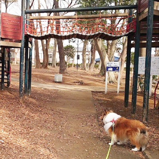 田喜野井公園