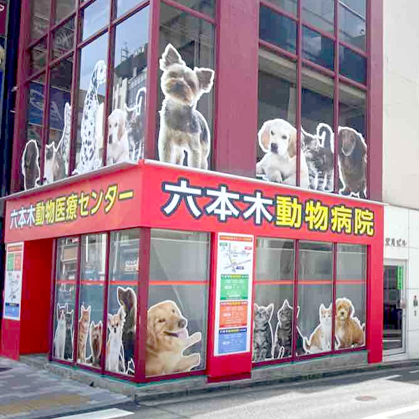 六本木動物医療センター<br />
SKG 六本木動物病院
