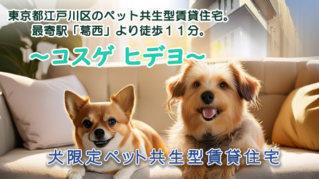 ★新築★2025年7月中旬完成予定!東京メトロ東西線「葛西」徒歩 11分「コスゲヒデヨ」先行入居者募集!!