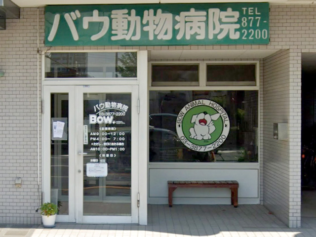 バウ動物病院