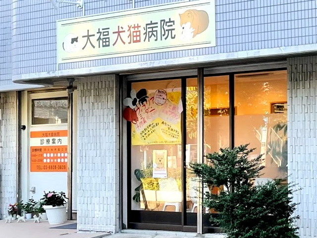 大福犬猫病院