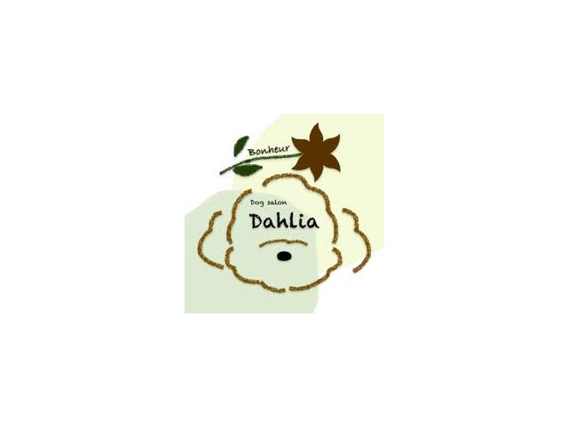 DogSalon Dahlia