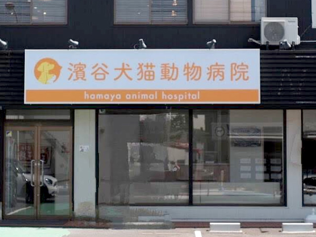 濱谷犬猫動物病院