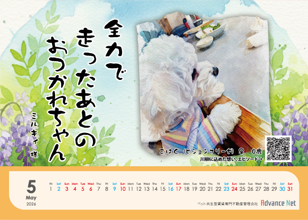 ペット川柳カレンダー　2026年5月