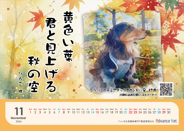 ペット川柳カレンダー　2026年11月