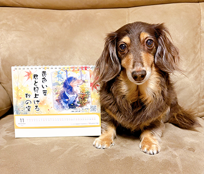 ペット川柳カレンダー2026 入賞者コメント　11月