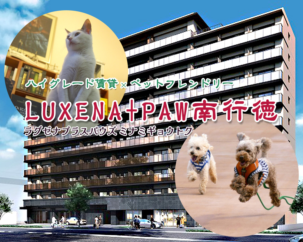 LUXENA＋PAWS南行徳