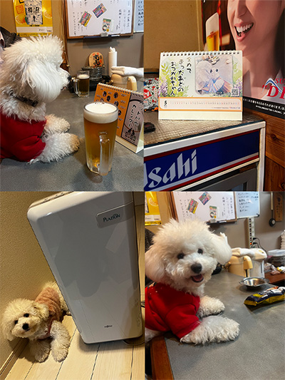 ペット川柳カレンダー2026 入賞者コメント　5月