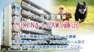 LUXENA+PAWS藤沢