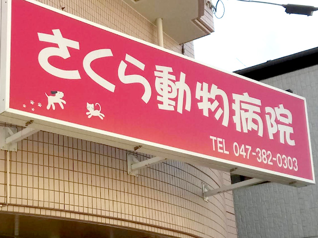 さくら動物病院