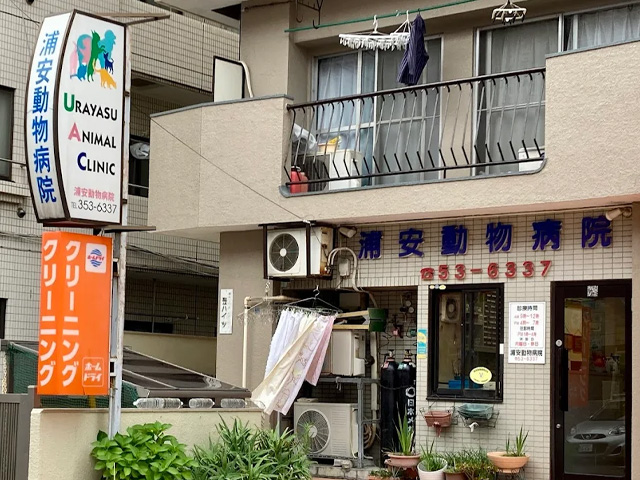 浦安動物病院